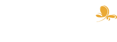 Libellus - La création graphique au service de votre marque